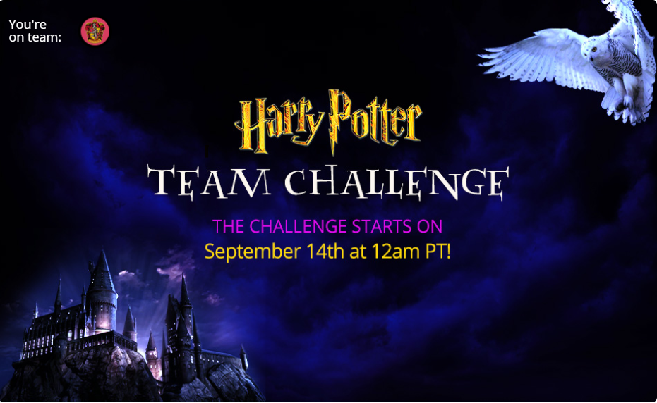 team2.png
